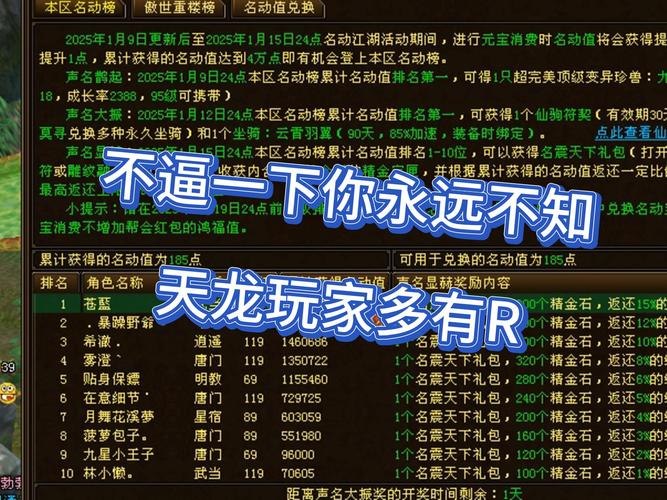 天龙私服的兴起缘由与存在风险详解：玩家需求与安全隐患分析